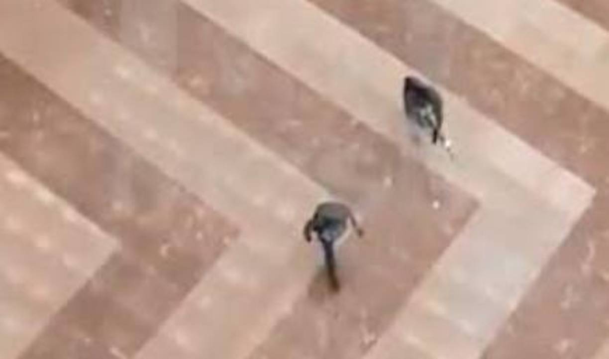 Los servicios de rescate, citados por la agencia Interfax, dieron parte de un “grupo de dos a cinco personas no identificadas, con uniformes de combate y armas automáticas”, que “abrieron fuego contra los agentes de seguridad en la entrada de la sala de conciertos” y antes de “empezar a disparar contra el público”.