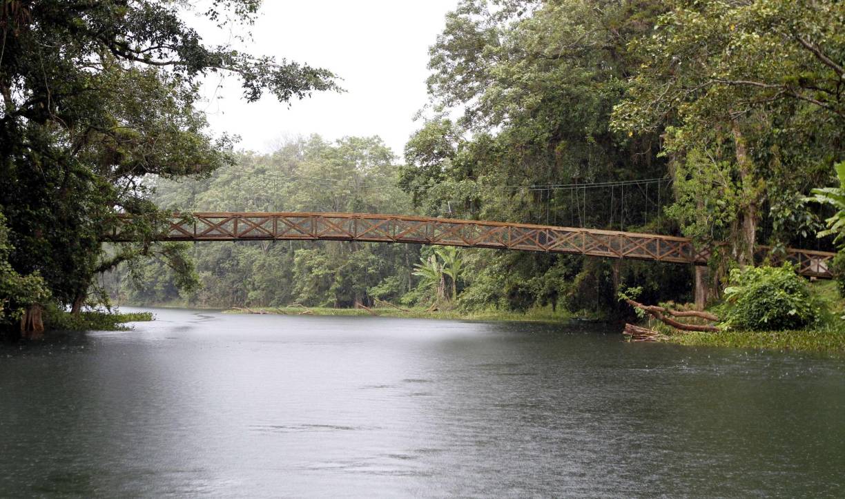 El canal de Los Naranjos es uno de los principales atractivos en el Lago de Yojoa, en ese lugar los turistas pueden hacer recorridos en lanchas o caminatas.