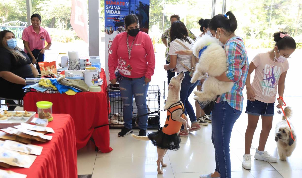 El evento para mascotas se desarrolla en Altara Mall, inició a las 11:00 am y culminará a las 6:00 pm.