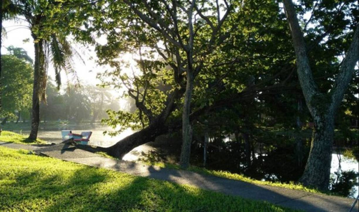 'Queda decretado que todos los días de la semana, inclusive los martes mas grises, tienen derecho a convertirse en mañanas de domingo': Thiago de Mello<br/>Foto: Guillermo Anderson, estero de La Ceiba.