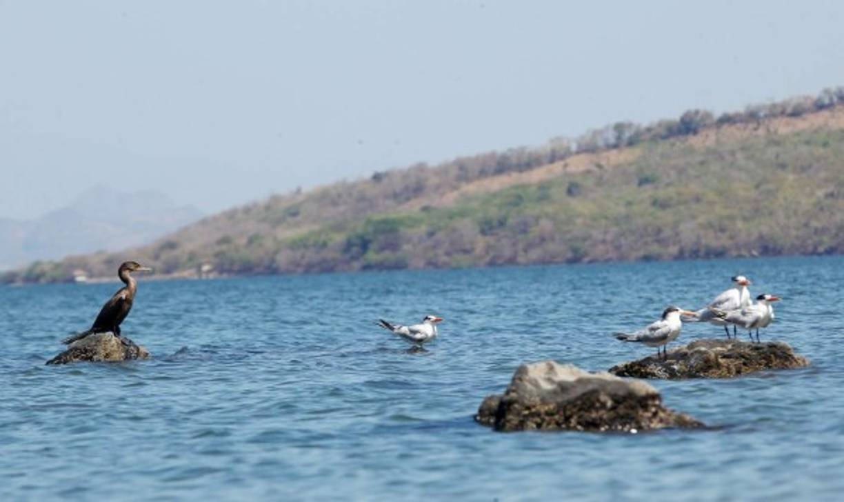 Las aves tienen su hábitat en este lugar. Una belleza impresionante.