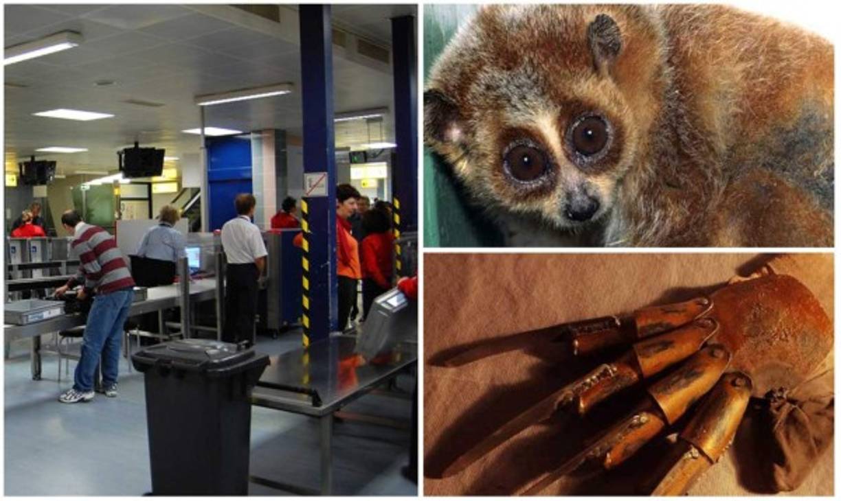Te sorprenderá con estos hallazgos en las aduanas.
