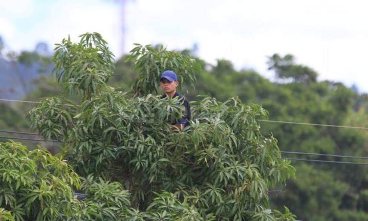 Los aficionados hicieron todo lo posible para ver al Olimpia.