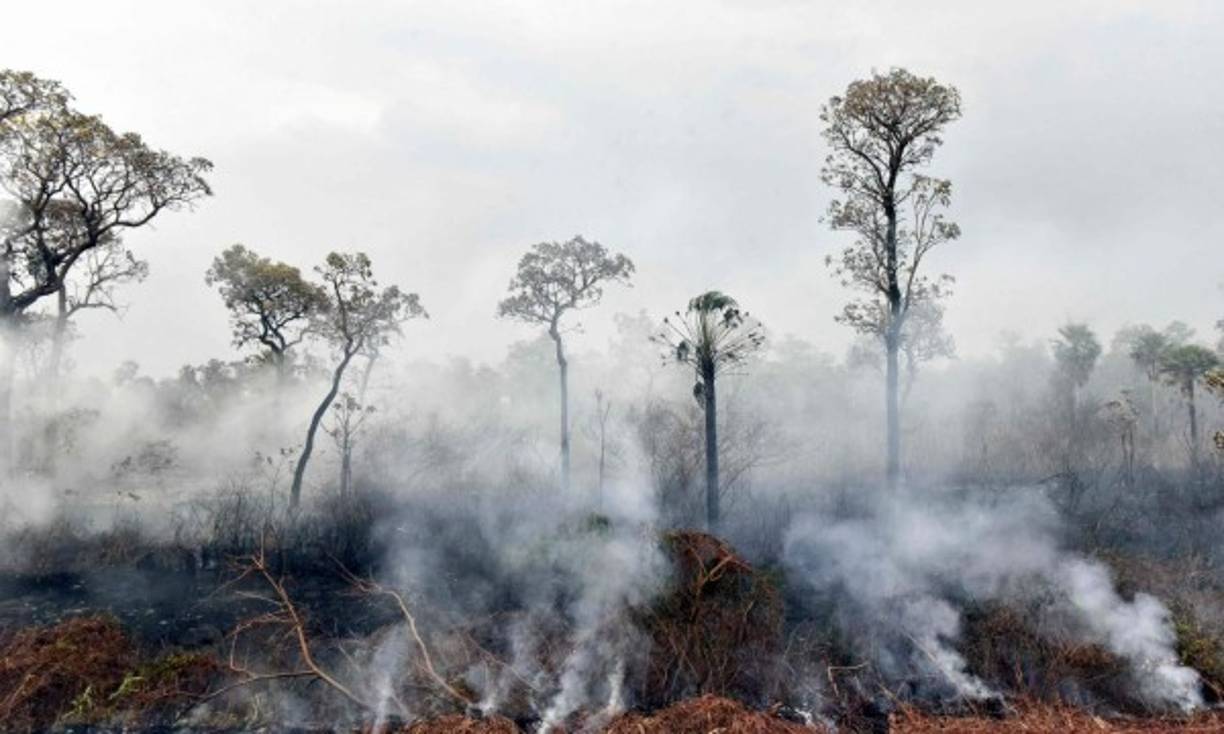 Morales también acordó con su homólogo de Paraguay, Mario Abdo Benítez, la posibilidad de que los aviones bolivianos y paraguayos que estén combatiendo incendios en la frontera puedan ingresar a ambos territorios indistintamente sin problemas.