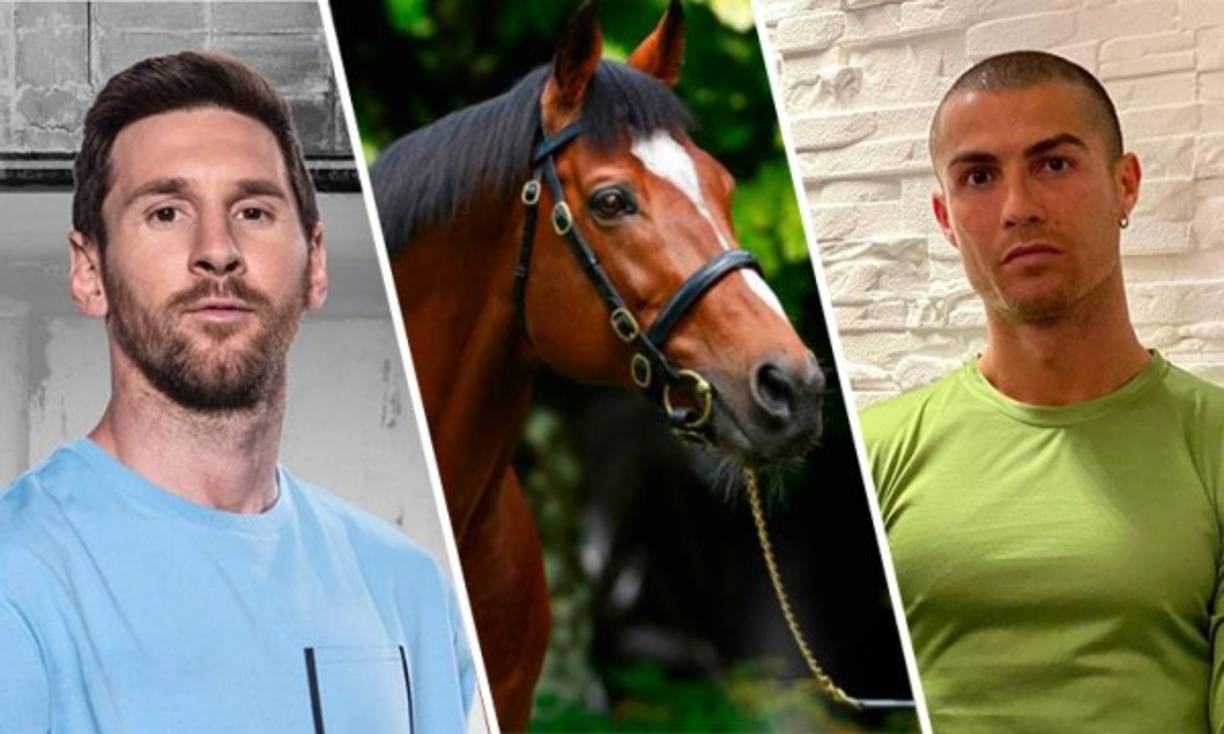 El caballo Galileo tiene un costo de USD 200 millones, mientras que Messi cuesta un poco más de USD 118 millones, por su parte portugués CR7 alcanza los USD 70 millones. Es decir, que ambos juntos siguen siendo más baratos que Galileo.