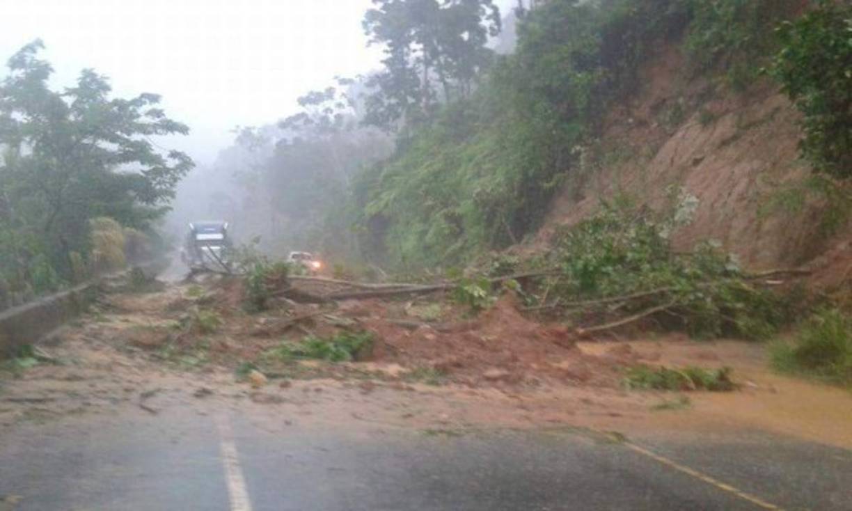El paso está interrumpido en Omoa, luego de la caída de árboles.