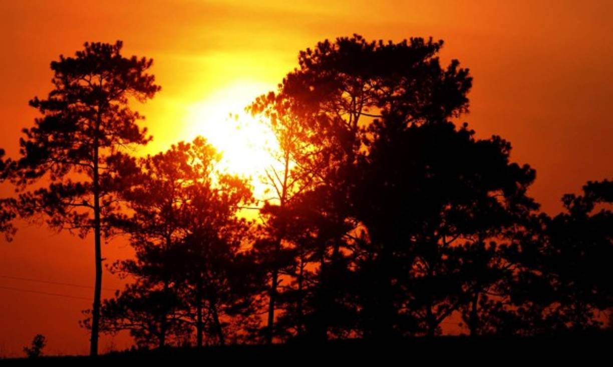 Un amanecer en una reserva natural de Honduras.