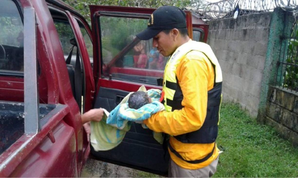Mientras uno de los bomberos auxiliaba a la madre, otro de los apagafuegos cargaba en brazos y con mucho cariño a la recién nacida, luego ambas fueron trasladadas a un centro asistencial. El generoso hecho ocurrió en San Francisco de Opalaca.