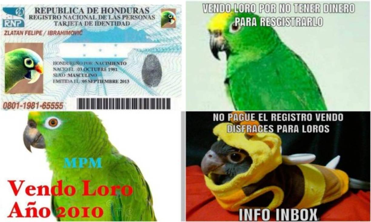 Porque no podían faltar los memes expresando el descontento de los ciudadanos al saber que tenían que pagar por cada animal silvestre que tuviera.<br/><br/>Es por eso que te compartimos algunos memes que desde ya se han viralizado en las redes sociales.<br/>