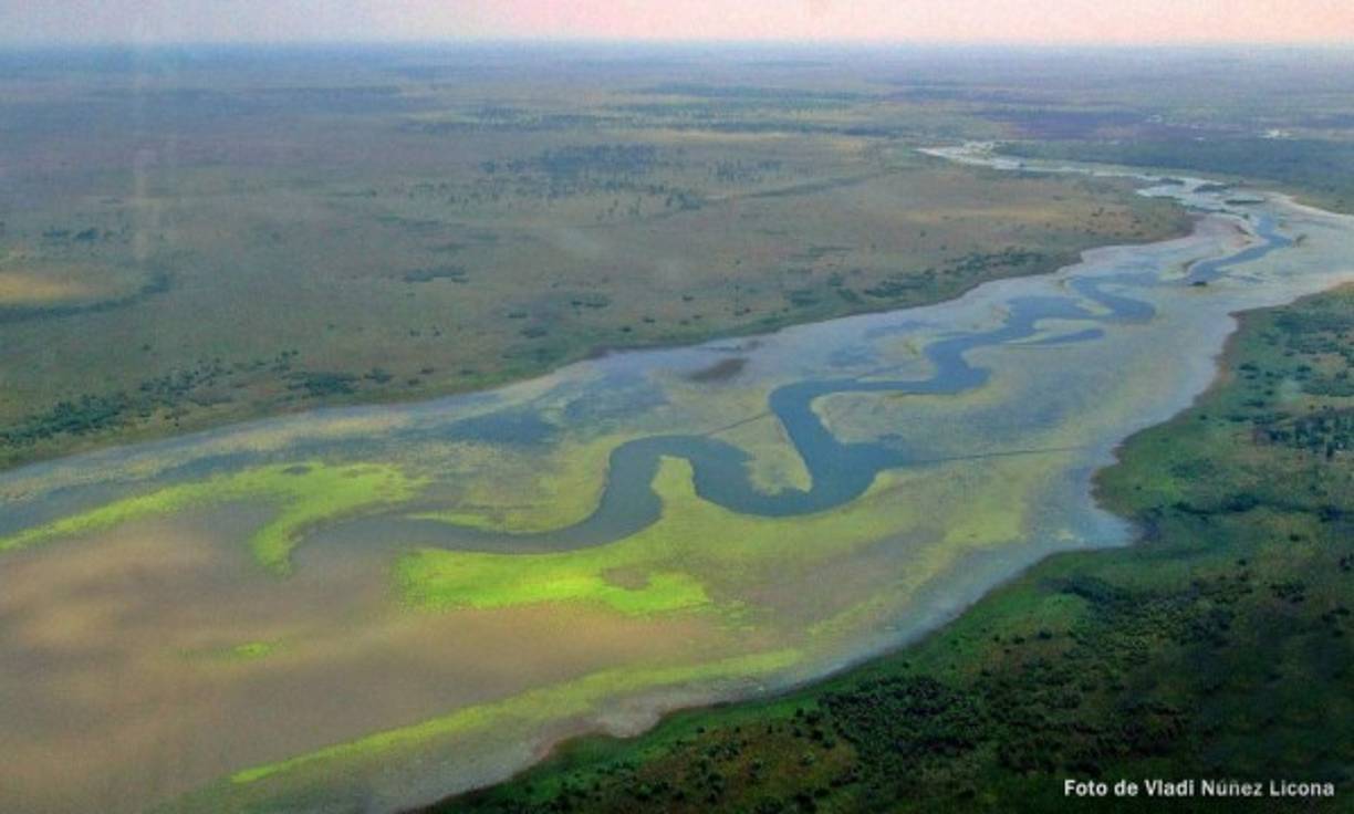 ¿Ríos de colores? Gracias a las velocidades de las corrientes, a los sedimentos y a las plantas, en algunos sitios de la Mosqitia hondureña se pueden observar estas obras de arte de la naturaleza. Foto de Vladi Núñez Licona