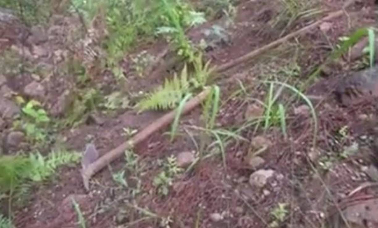 En la zona boscosa, donde se realizó el hallazgo, fueron encontradas palas y piochas, con las que supuestamente los asesinos cavaron las fosas para introducir los cadáveres, además, se halló ropa interior que aparentemente pertenecía a las jóvenes.