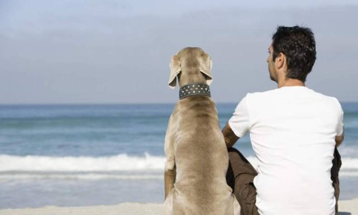 Siempre apostarán por ti y por su cariño. Aunque te encuentres en el peor momento de tu vida, capricornio estará ahí para sostener tu mano y levantarte cuando caigas.<br/><br/>