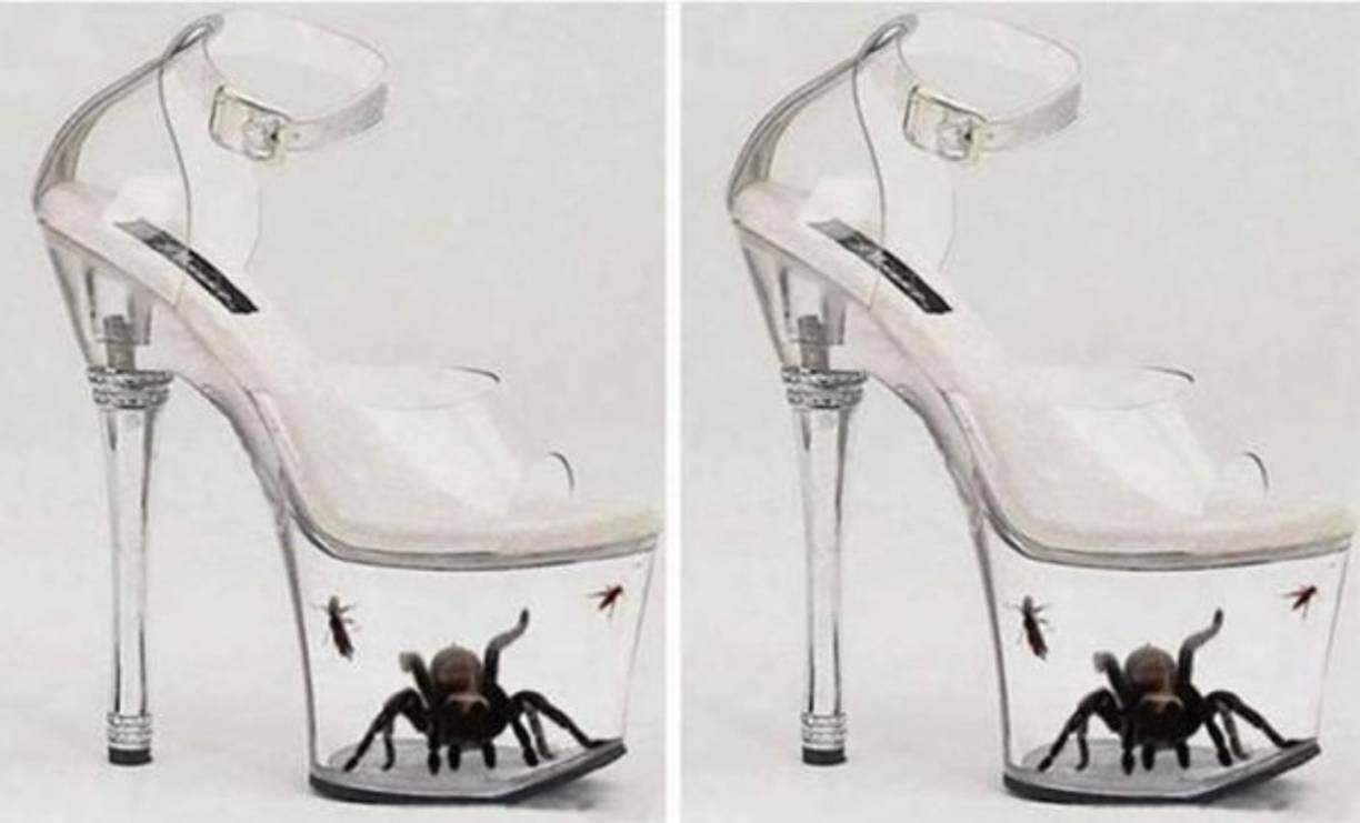 Para las amantes de las tarántulas, este peculiar zapato se convertirá en sus preferidos.