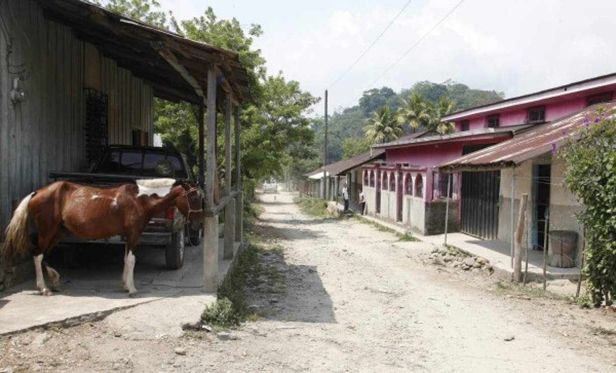 La comunidad de Tomalá, en lo alto de la montaña.