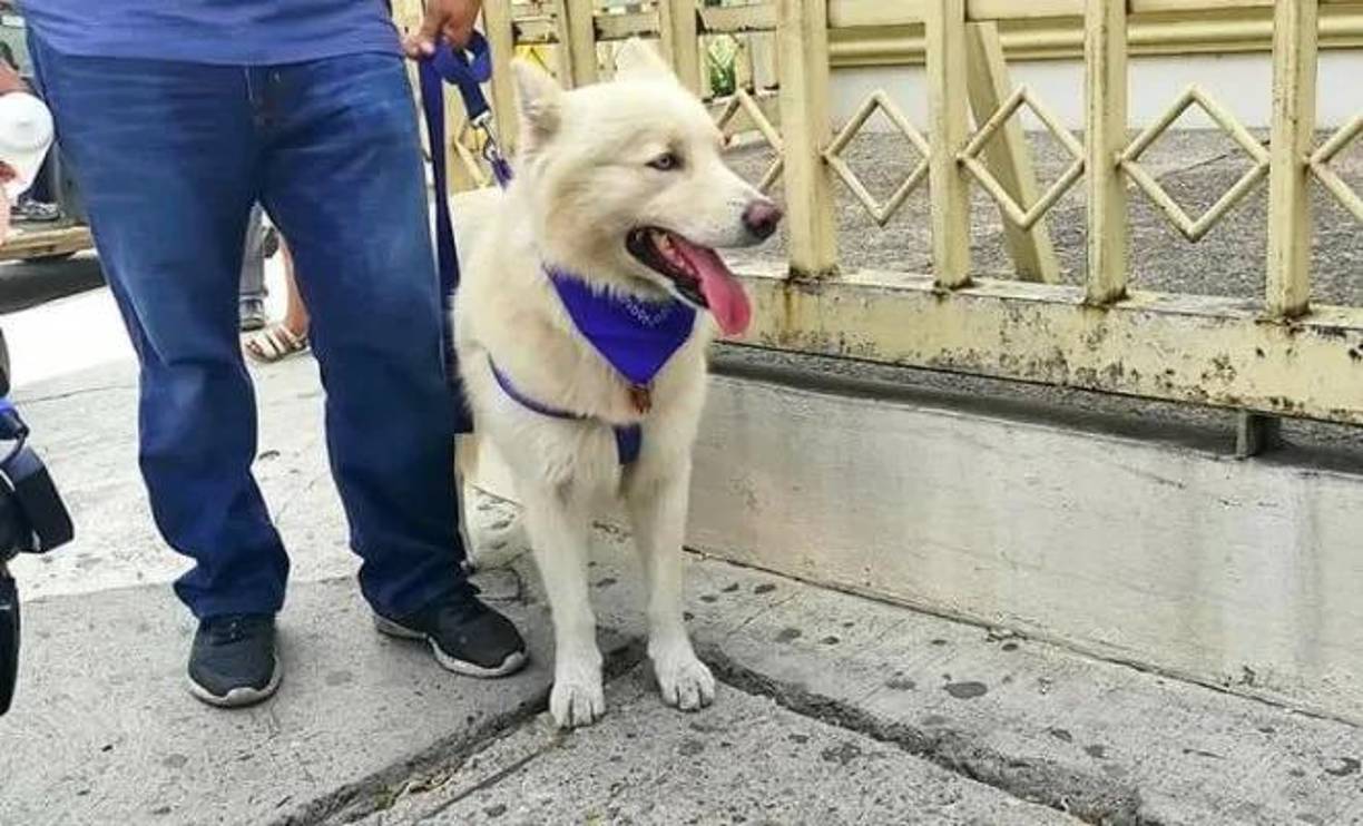 La disputa por Sky también tuvo trascendencia en Latinoamérica. 