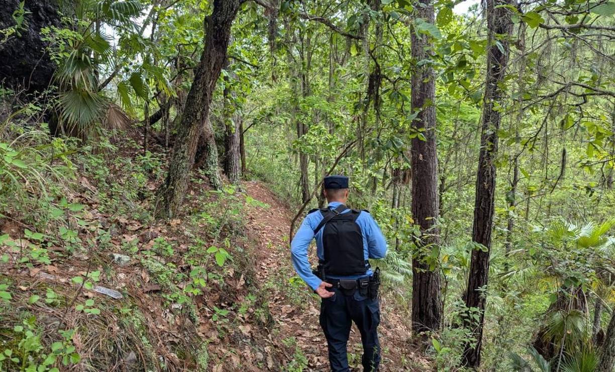 “La violencia y la crueldad de estas organizaciones criminales no tiene límites, y es imperativo que como sociedad tomemos medidas drásticas para combatir este flagelo”, manifestó el ministro de Seguridad, Gustavo Sánchez. 