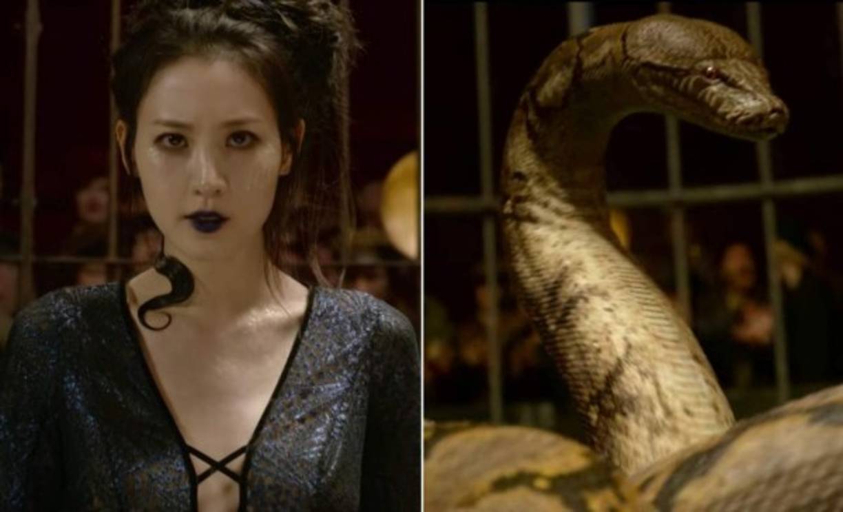 Maledictus o Nagini / Claudia Kim<br/><br/><br/><br/>Este personaje atrajó la polémica antes del estreno de Los Crímenes de GrindelWald, hasta la misma JK Rowling ha utilizado Twitter para aclarar qué significa ser Maledictus para Nagini. Lo primero que hay que saber: los maledictuses no son animagos.<br/><br/>Nagini languidecía en un circo, no terminó en un zoológico muggle. Rowling aclaró que la boa constrictor a la que Harry Potter habla en la Piedra Filosofal no era Nagini, a pesar de que un grupo de fanáticos teorizaron que lo era.<br/><br/>Nagini permanece a la par de Credence en toda la nueva entrega deAnimales fantásticos: Los crímenes de Grindelwald.<br/>