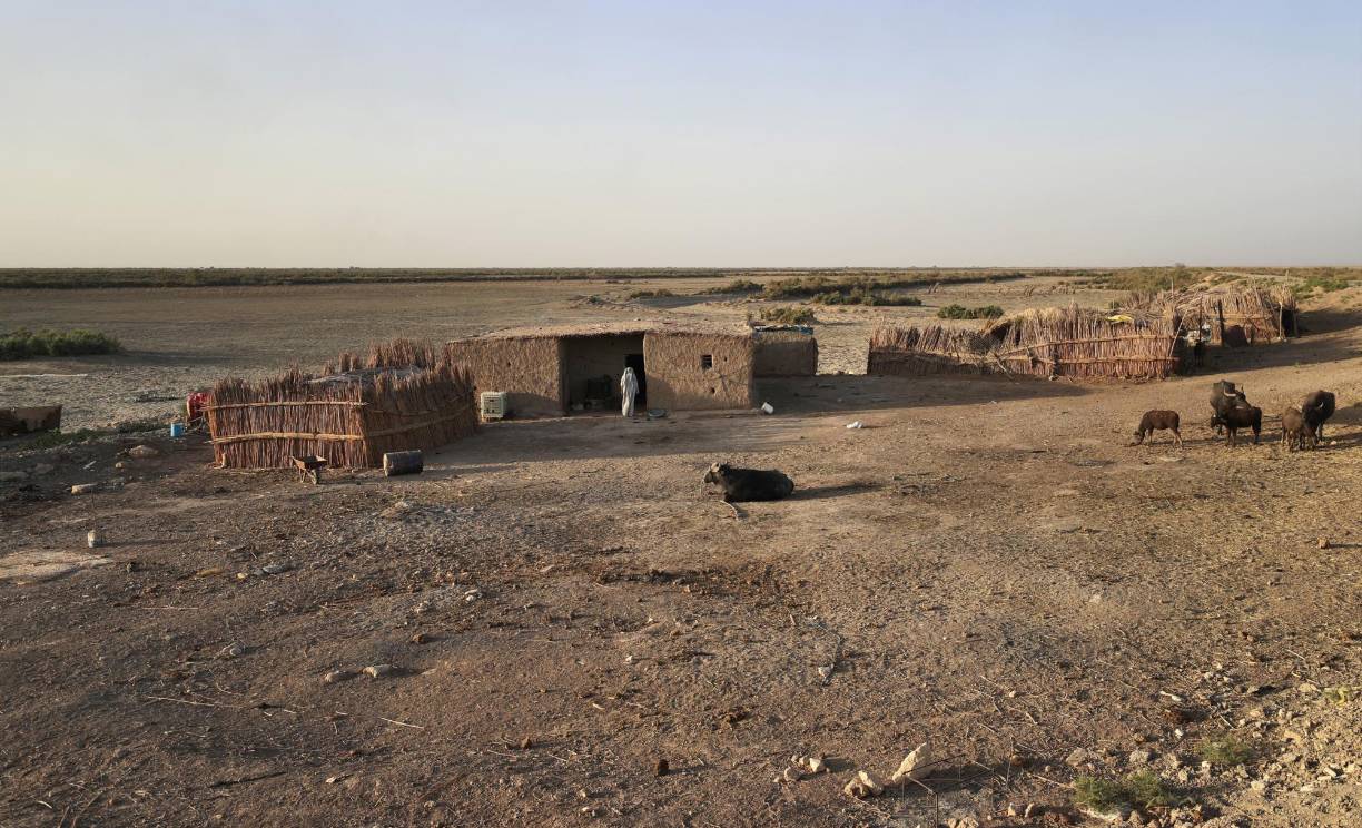 La oficina de la FAO en Irak dijo que los humedales son “una de las regiones más pobres de Irak y una de las más afectadas por el cambio climático”, y alertó de “niveles históricamente bajos de agua”.