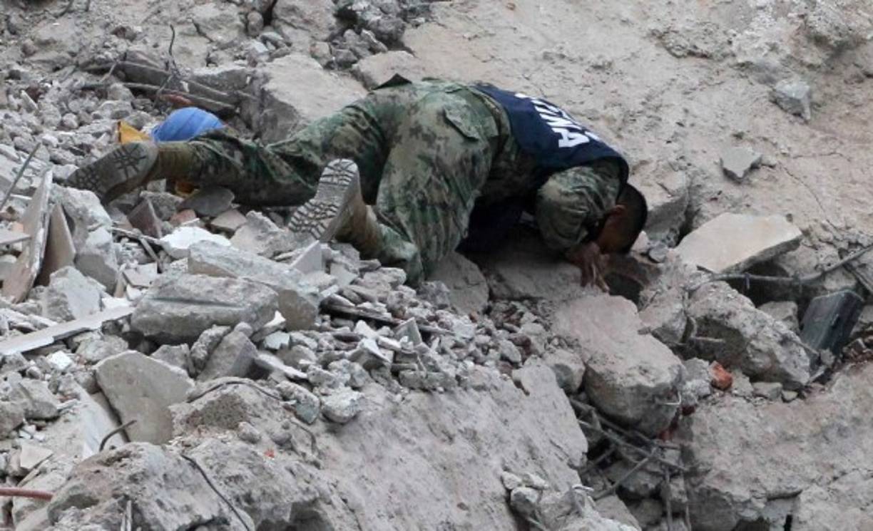 Los rescates se centran en la zona sur y en el corredor Roma-Condesa, exclusivo sector conocido por sus bares y restaurantes y donde viven numerosos extranjeros.