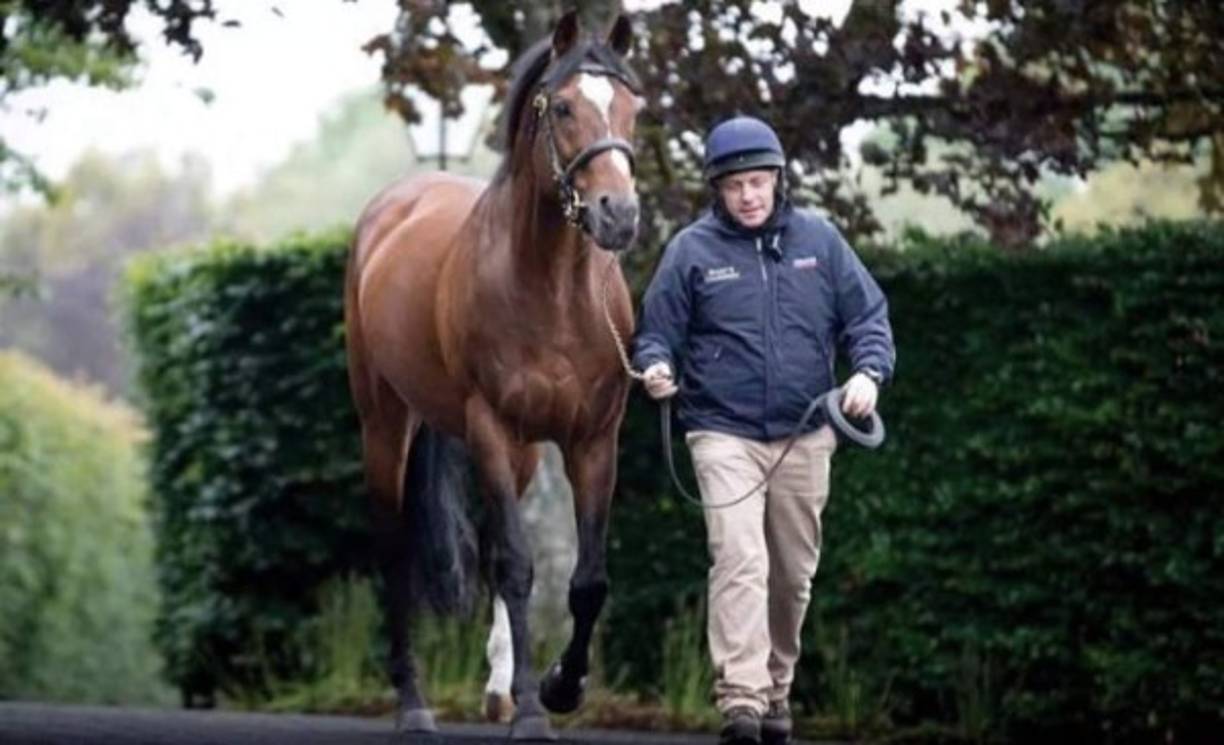 Galileo es un cuadrúpedo que según el diario The Sun tiene un valor de 200 millones de dólares y si los criaderos buscan que sus yeguas sean preñadas por Galileo, cobra hasta 800 mil dólares, cifra que puede variar.