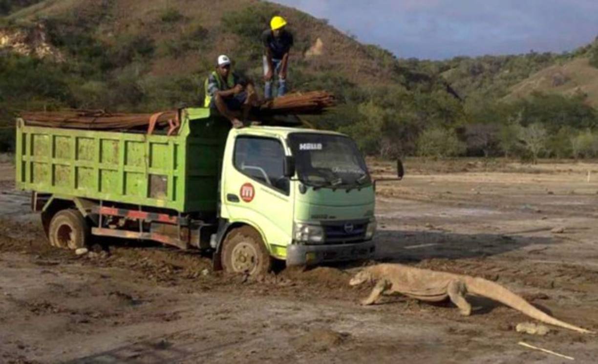 Una de las imágenes que se han viralizado desde el parque nacional. La UNESCO (Organización Educativa, Científica y Cultural de las Naciones Unidas por sus siglas en inglés) ha mostrado su preocupación, ya que el parque es parte de su lista de Patrimonios de la Humanidad.
