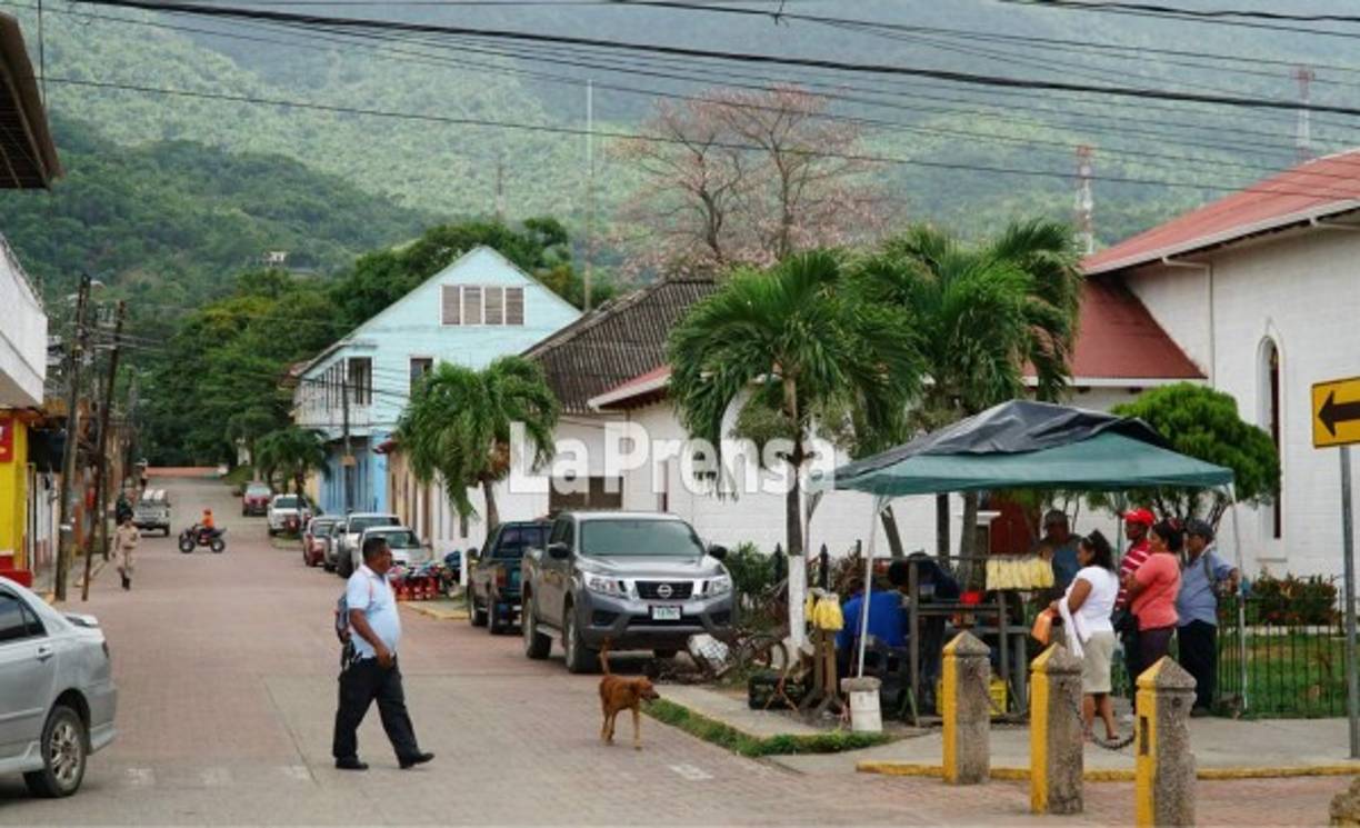 Las calles de Trujillo están rodeadas de una hermosa y exuberante vegetación, la cual hace más agradable la estadía de los turistas.