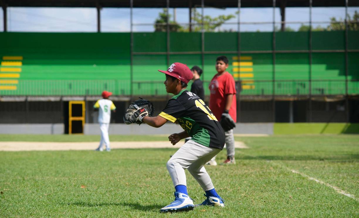 Las disciplinas actualmente activas son: Ajedrez, Atletismo, Baloncesto. Béisbol, Boxeo, Fútbol, Halterofilia, Karate Do, Kickboxing, Natación y Voleibol.