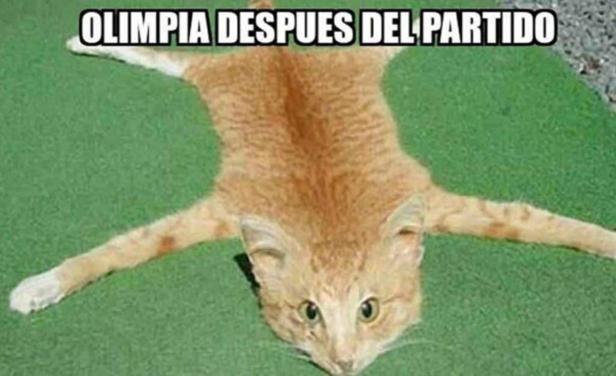 Olimpia nuevamente perdió ante Marathón en el estadio Yankel Rosenthal y los verdes tienen de hijo al cuadro verdolaga. Tras la caída, los memes contra los olimpistas no podían faltar.