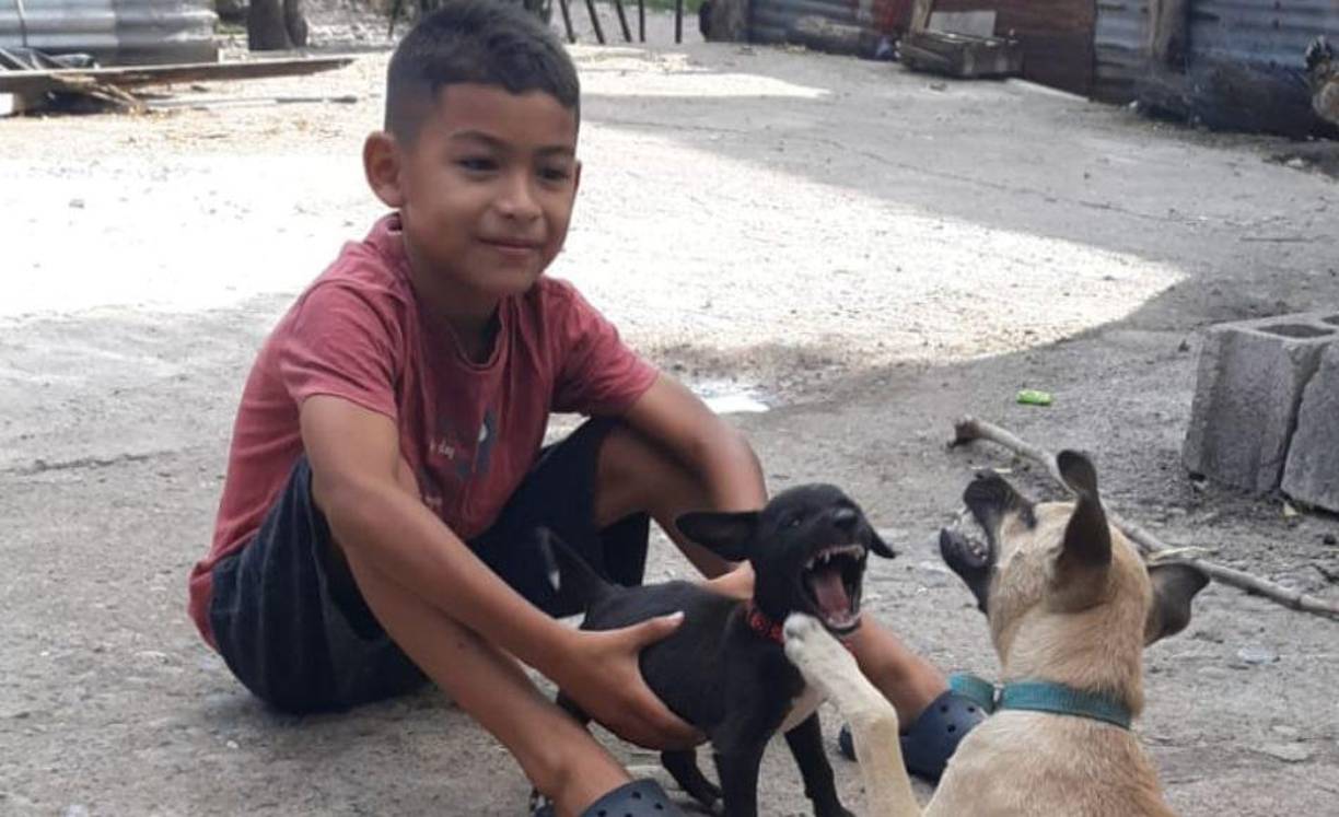 El pequeño Jafeth junto a sus amigos Venus y Cliford.