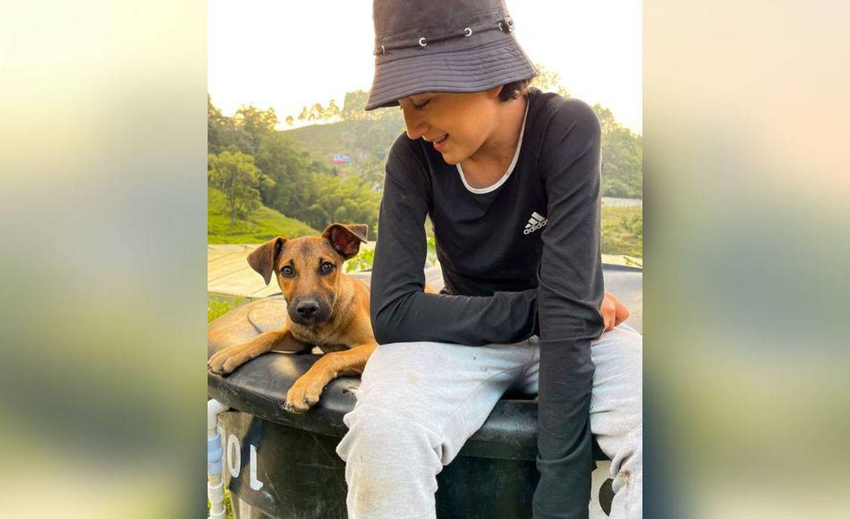 El joven no tardó en ponerse a buscarlo por todos lados con la esperanza de recuperarlo porque se sentía desesperado.