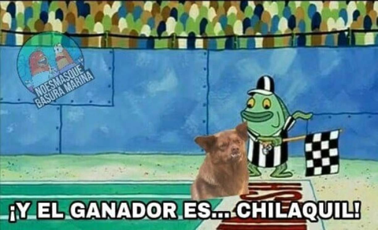 Chilaquil es la estrella del meme y de nuestros corazones.