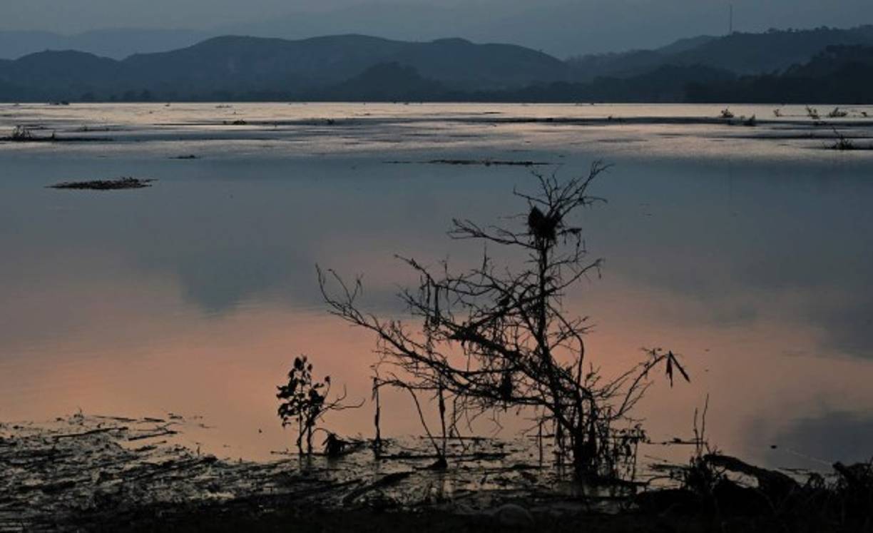 La dolorosa situación de la laguna llevó a un grupo de sampedranos a interponer una denuncia ante el Ministerio Público para saber qué ha pasado.