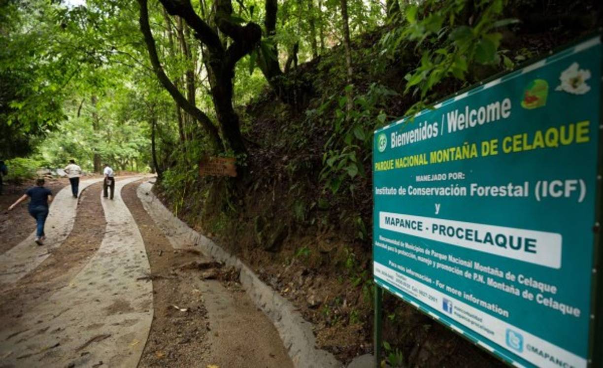 La biosfera es protegida por diferentes instituciones del Gobierno hondureño.