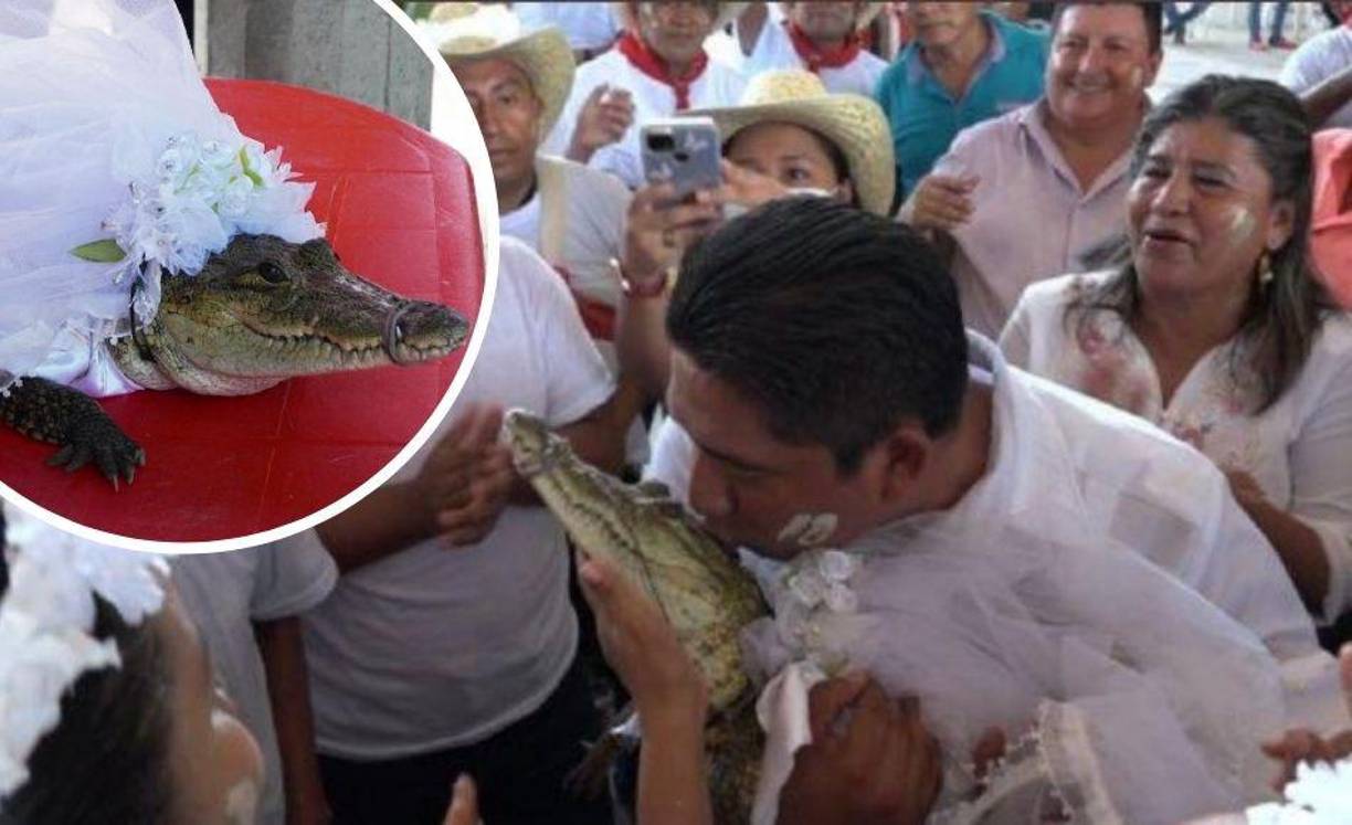 El alcalde de un pequeño pueblo mexicano se casó con su novia caimán el jueves en una colorida ceremonia.