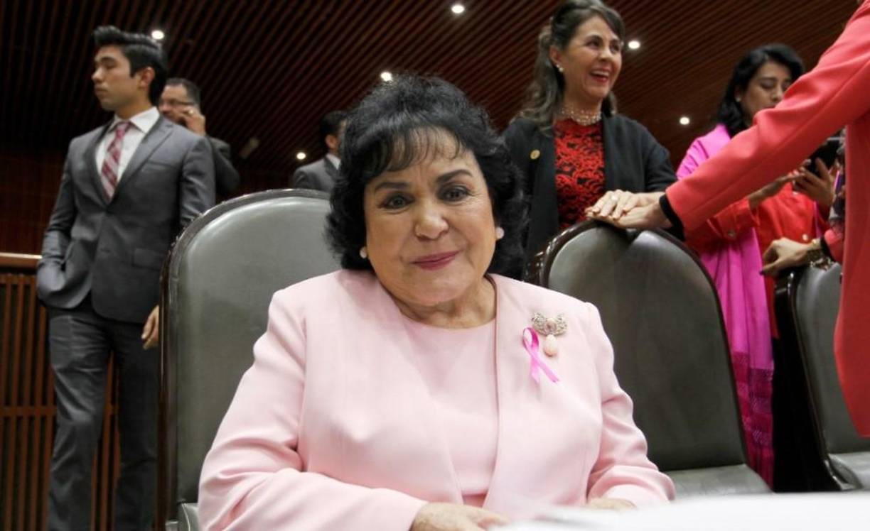 Salinas también estuvo involucrada en la vida política al vincularse al Partido Revolucionario Institucional (PRI), del que fue diputada del 2015 al 2018.