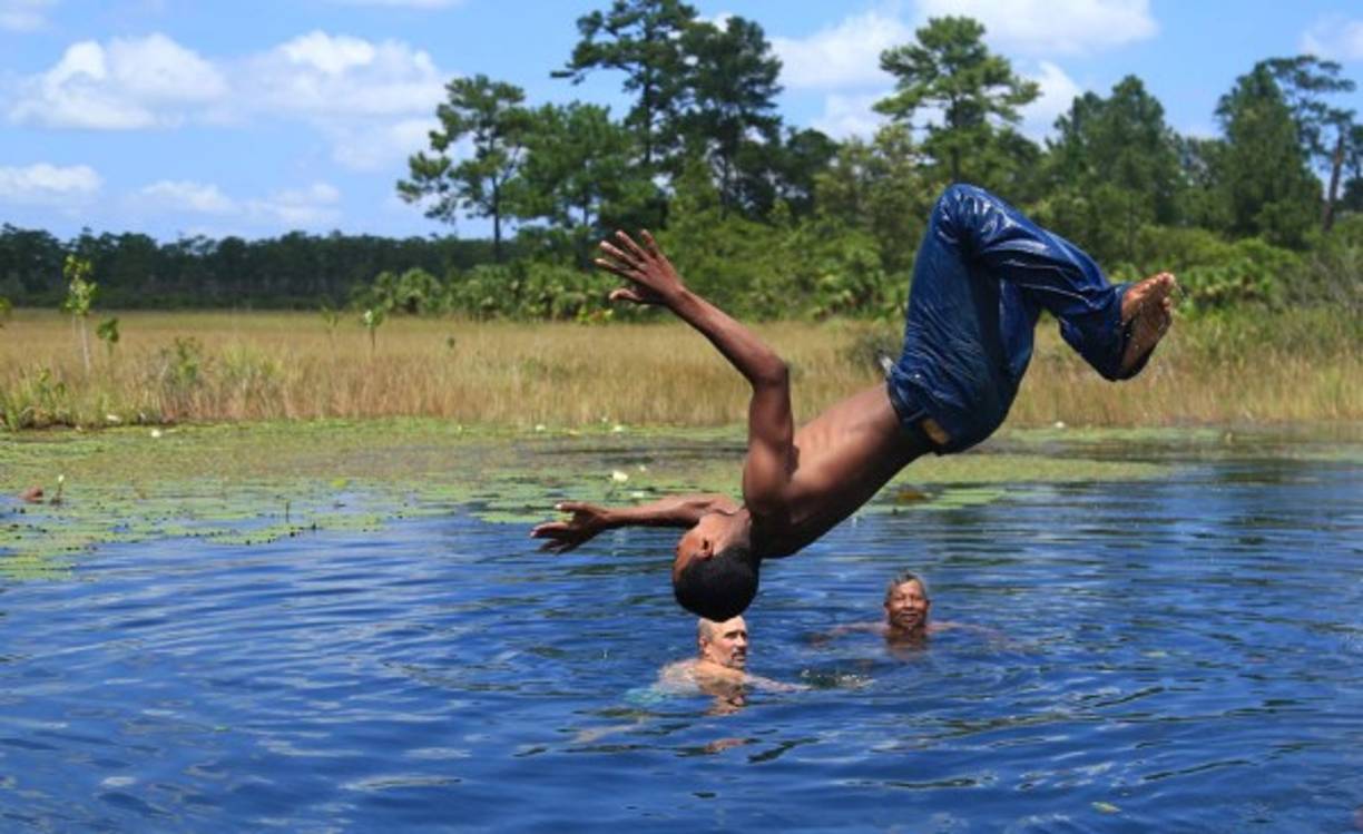 Los misquitos son hábiles nadadores, no desaprovechan los arroyos cristalinos que nacen en los llanos. Fotos: Jordan Perdomo.