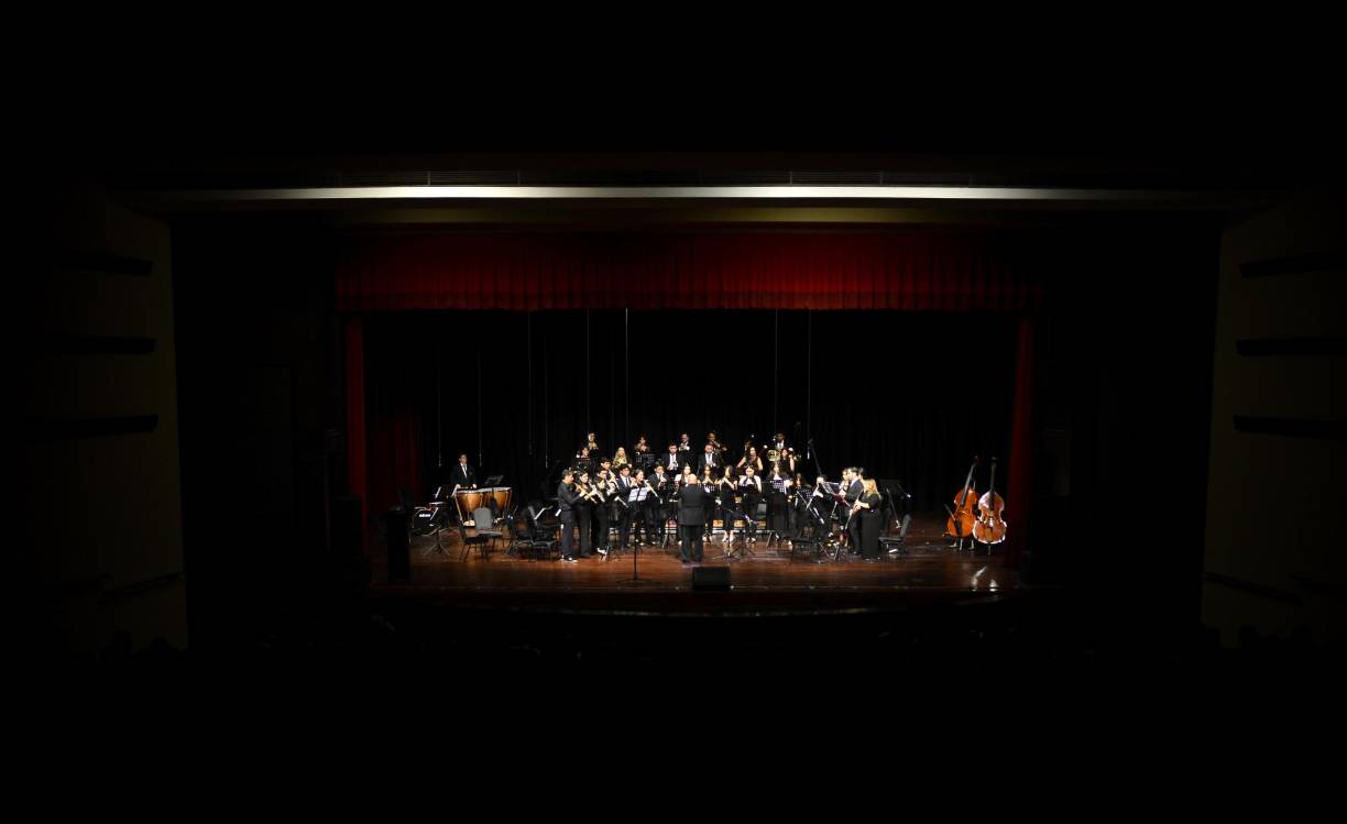 La OSVS estuvo imponente en el escenario del Teatro José Francisco Saybe. La composición de sonidos inundó los oídos del público rebosando las emociones con cada ejecución. 
