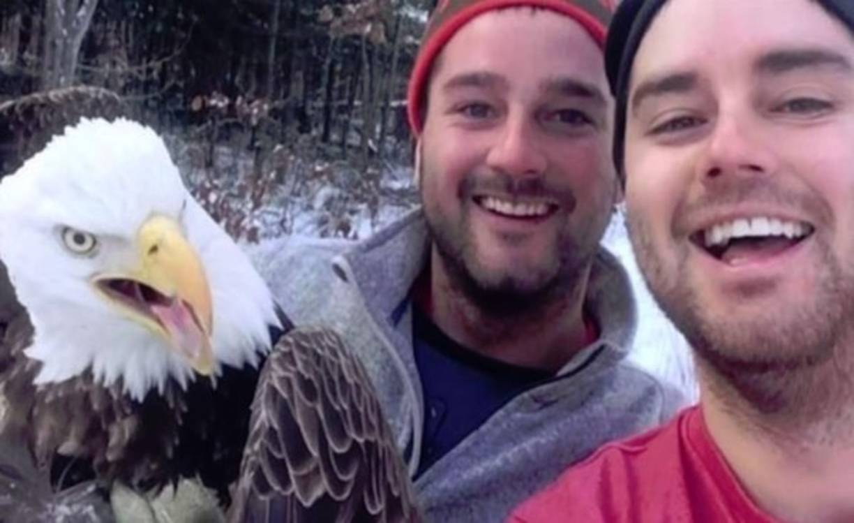 Jóvenes rescatan a un águila calva y se hacen un selfie con ella, fue una de las más buscadas del año.