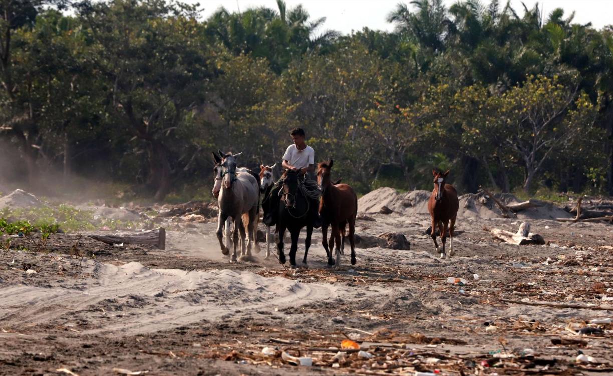 La alcaldía de Omoa ha montado proyectos de retención de desechos, pero las constantes toneladas atestan las bardas. La implicación del Gobierno de Honduras en los últimos años ha sido tibio para intentar salvar la región de un colapso ambiental. 