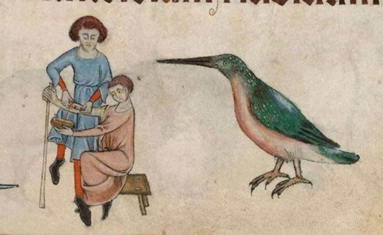 6. El barbero: doctor y dentista. Durante la Edad Media, los dentistas, médicos y barberos eran todos la misma persona. Y como no había anestesia y la compresión médica era bastante cruda, todo era bastante desagradable. Los “cirujanos barberos” eran los responsables de atender las heridas de los soldados durante y después de los combates. Obviamente, había una tasa de mortalidad muy alta debido a la pérdida de sangre e infecciones. Uno de los remedios más empleados era el uso de sanguijuelas sobre las heridas y las sangrías, que trataba básicamente en dejar que una persona se desangrara para curar las enfermedades.