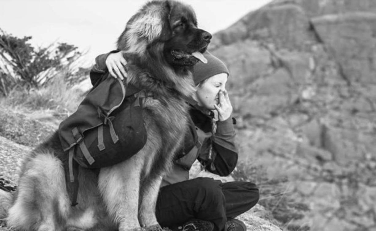En el mensaje le decía que todo estaba bien y que le avisaba que no iban a tener mucha señal de celular en los próximos días.