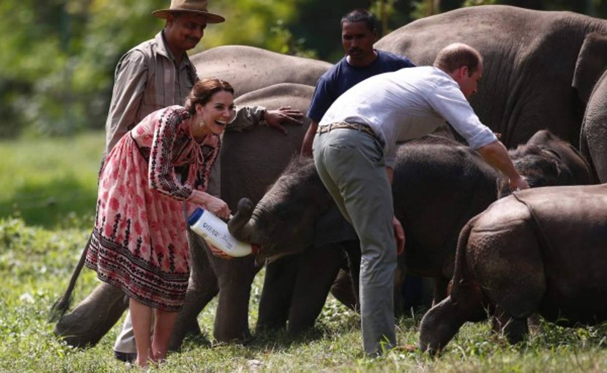 La pareja disfrutó de su jornada alimentando bebés elefantes tras su safari.