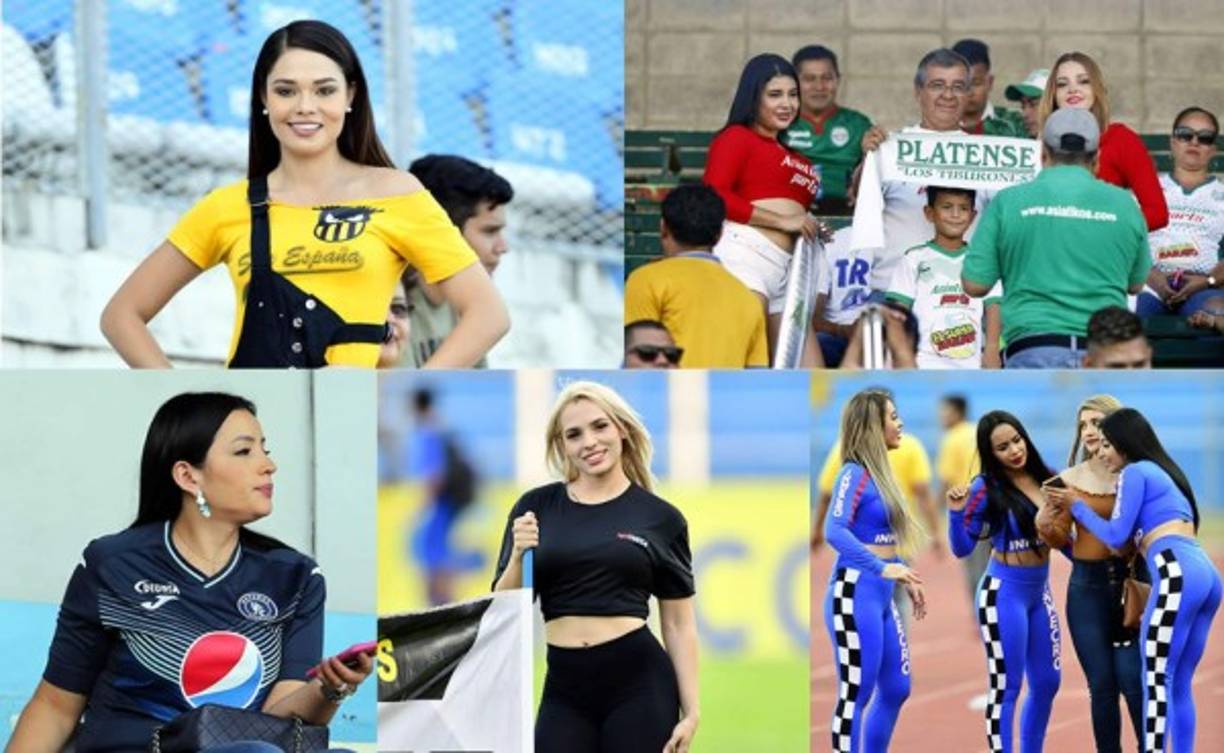 Ellas son las bellas chicas que adornaron la jornada 11 del Torneo Apertura 2019 en los estadios del fútbol de Honduras.