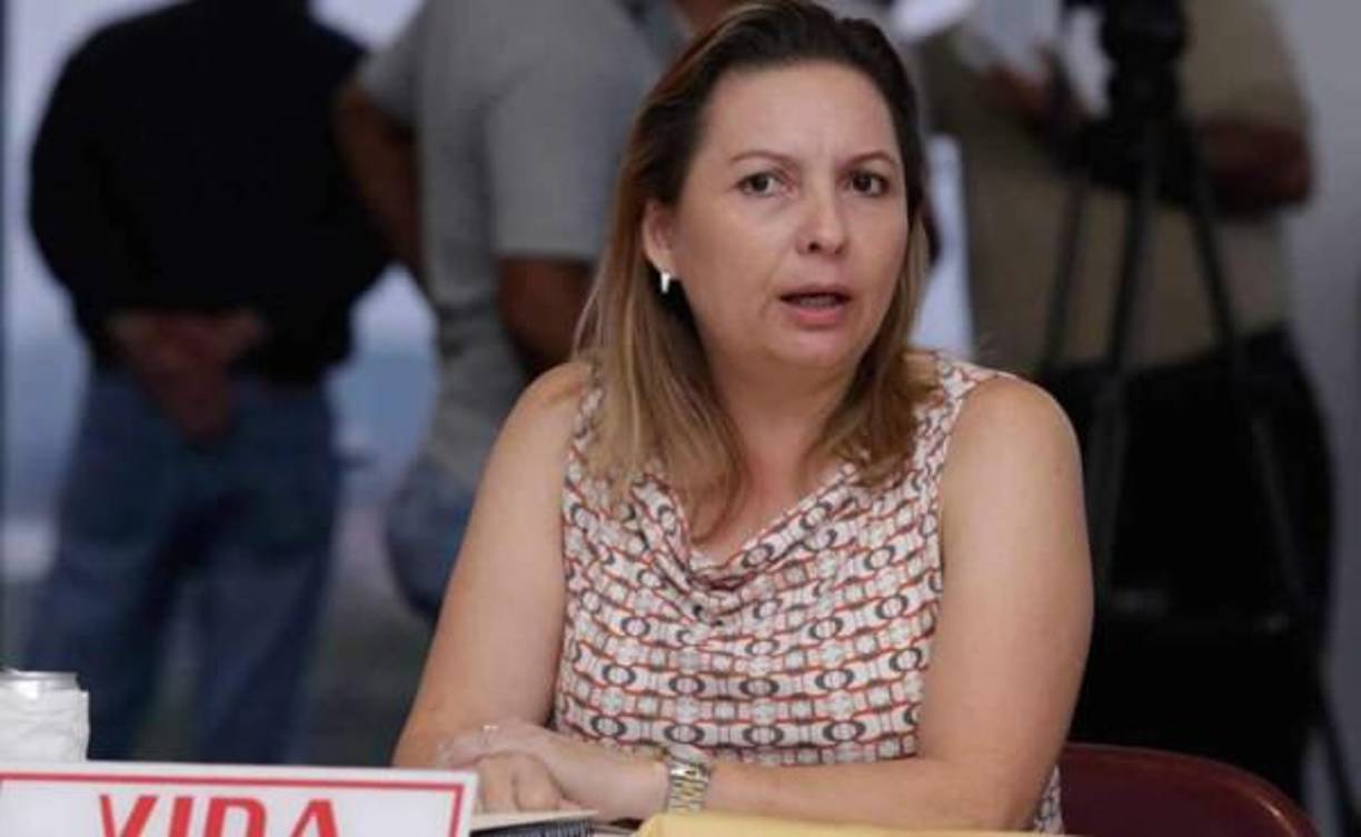 La diputada liberal, Carla Dip, asistió a sesiones solo en tres veces entre enero y junio. 