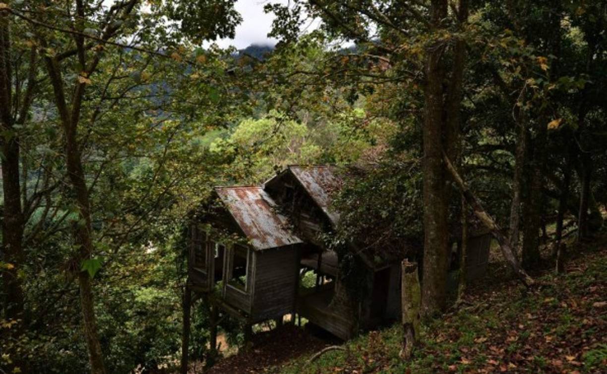 Ubicada 15 km al este de Tegucigalpa, La Tigra, la primera zona del país declarada reserva forestal protegida en 1980, fue sometida a una severa degradación entre los años 1880 y 1954 por la minera The New York and Rosario Mining Company.