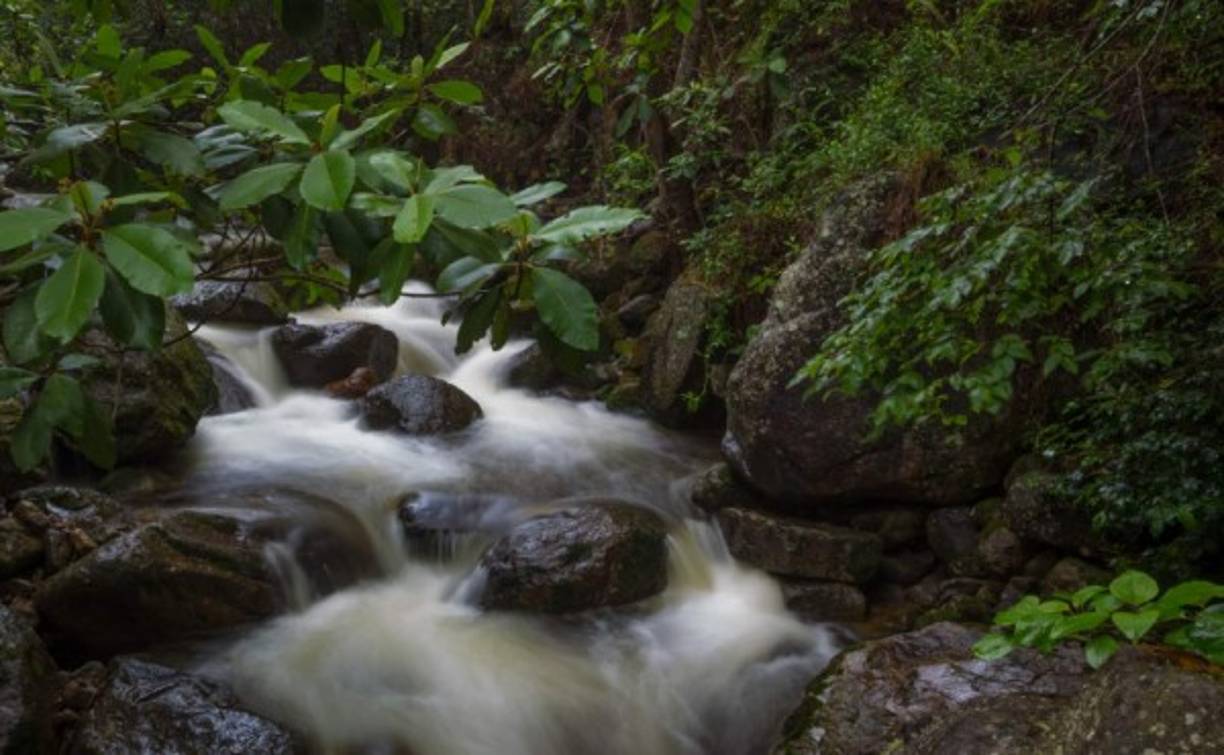 En la montaña se encuentran diversas fuentes de agua que permite a los turistas refrescarse mientras hacen sus recorridos.