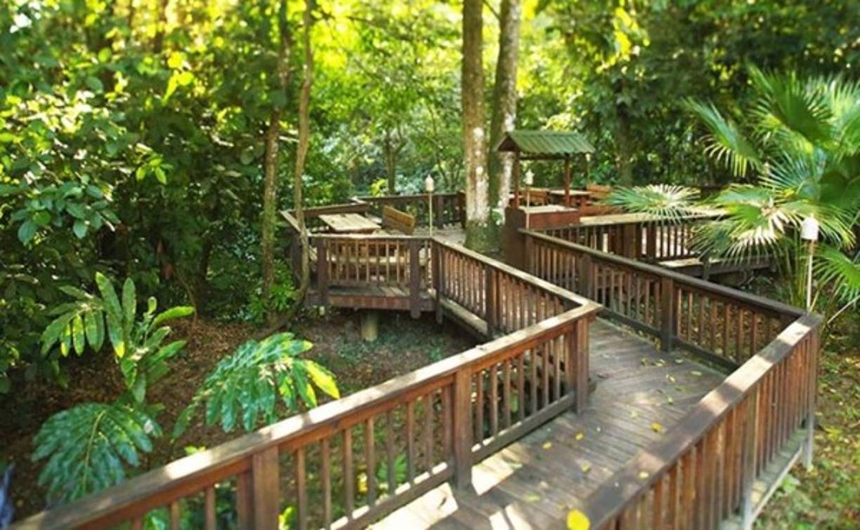 En Pico Bonito hay distintas formas de disfrutar y pasarla en familia. Foto: Lost World Adventures.