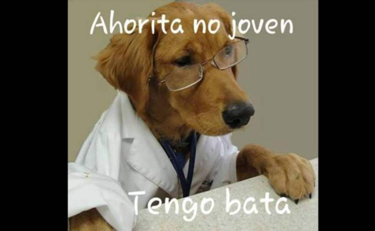 Este 27 de octubre se celebra el Día del Médico hondureño, y en la redes sociales se han tomado con humor esos momentos donde la bata de un estudiante es primero ante todo. Pero se reconoce que algún día nos salvarán la vida. Felicidades.