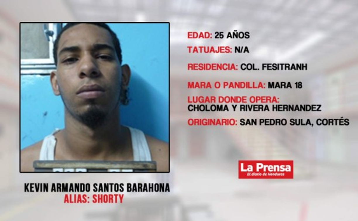 Se dedica al sicariato, robo y extorsión.