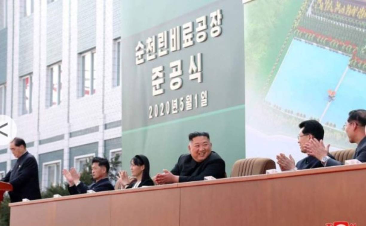 El estado de salud de Kim fue objeto de numerosos rumores en el extranjero en las últimas semanas, debido a su ausencia en las celebraciones del 15 de abril, la fecha más importante del calendario político norcoreano, en la que se recuerda el nacimiento de su abuelo y fundador del régimen, Kim Il Sung.